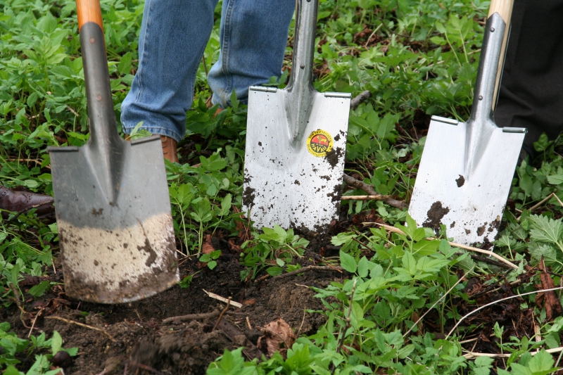 pepiniere-ST ZACHARIE-min_work-lawn-flower-tool-green-backyard-1103633-pxhere.com